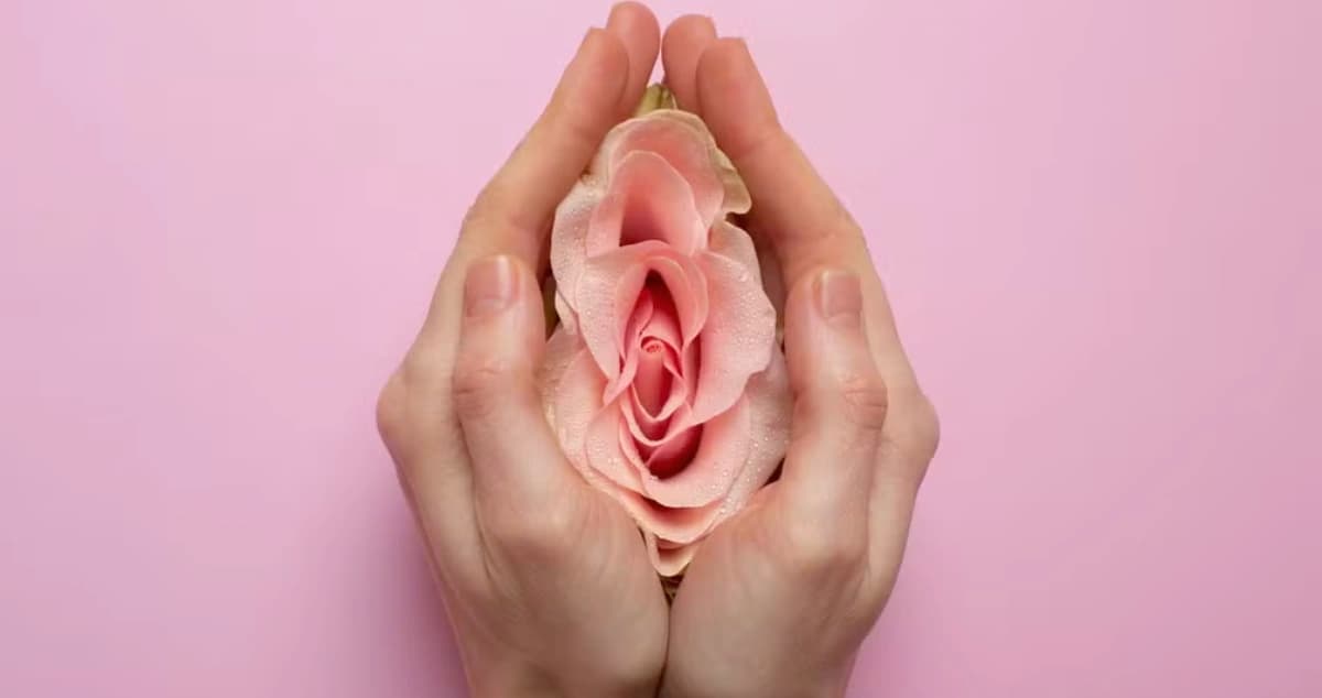 Saúde sexual feminina: o que é, o que afeta e como cuidar